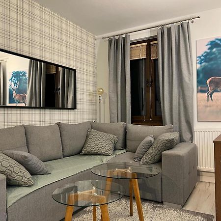 Apartament Dziki Rogacz Щавниця Екстер'єр фото