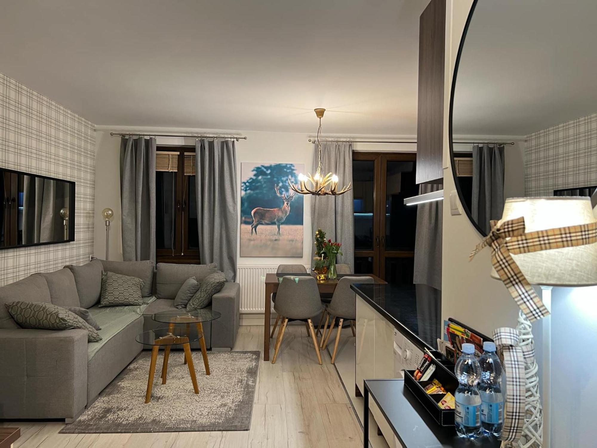 Apartament Dziki Rogacz Щавниця Екстер'єр фото